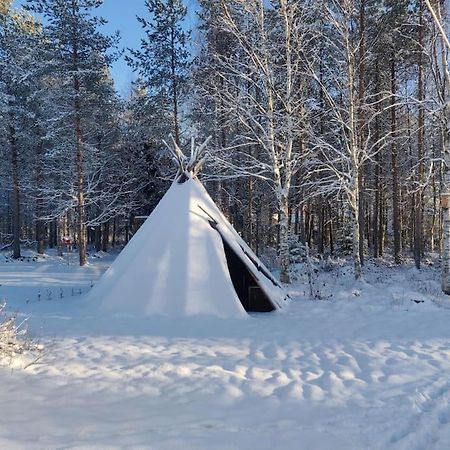 Cozy Home With Sauna And Kota Rovaniemi Exterior photo