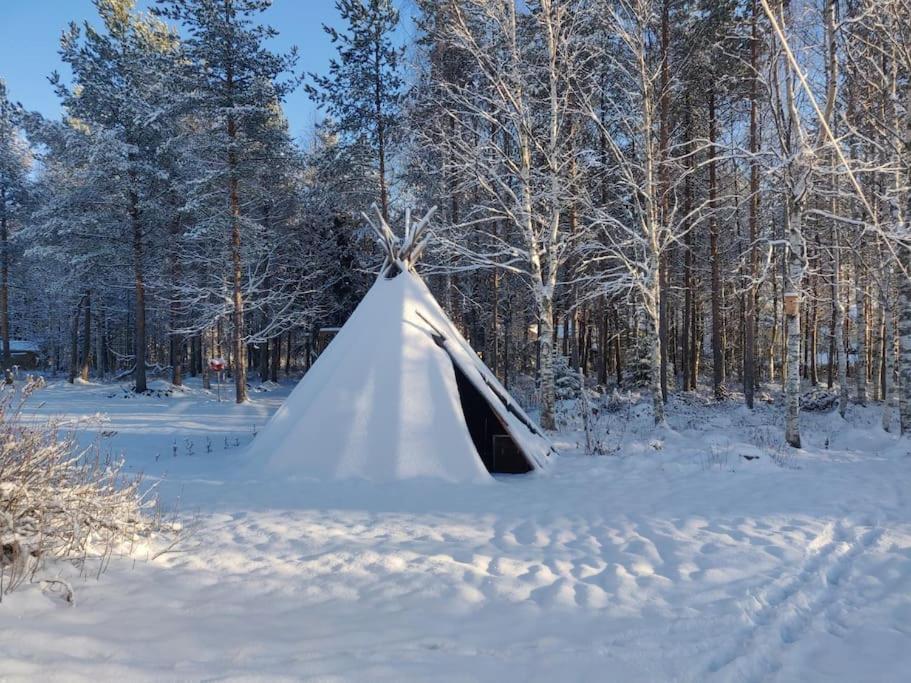 Cozy Home With Sauna And Kota Rovaniemi Exterior photo